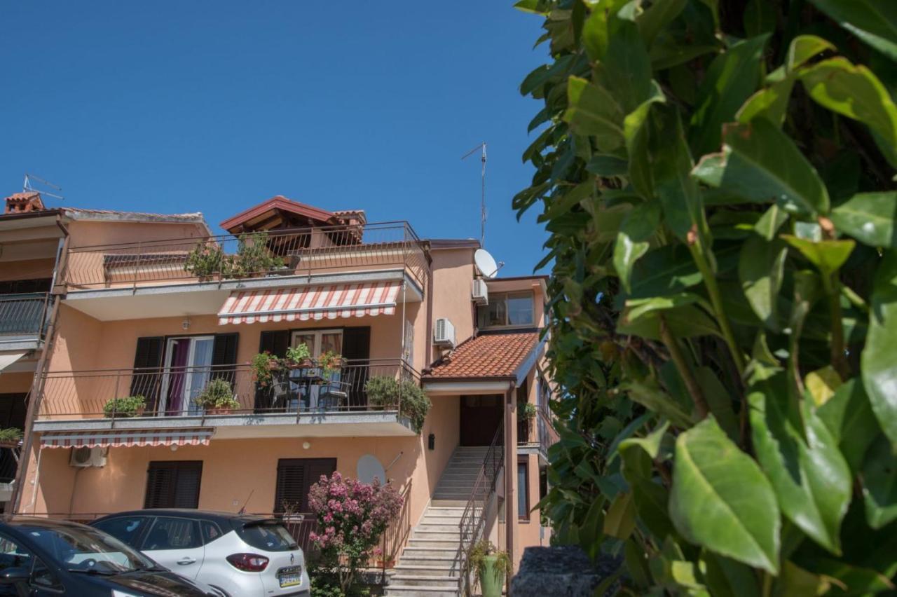 אומאג Apartment Gaudeamus מראה חיצוני תמונה