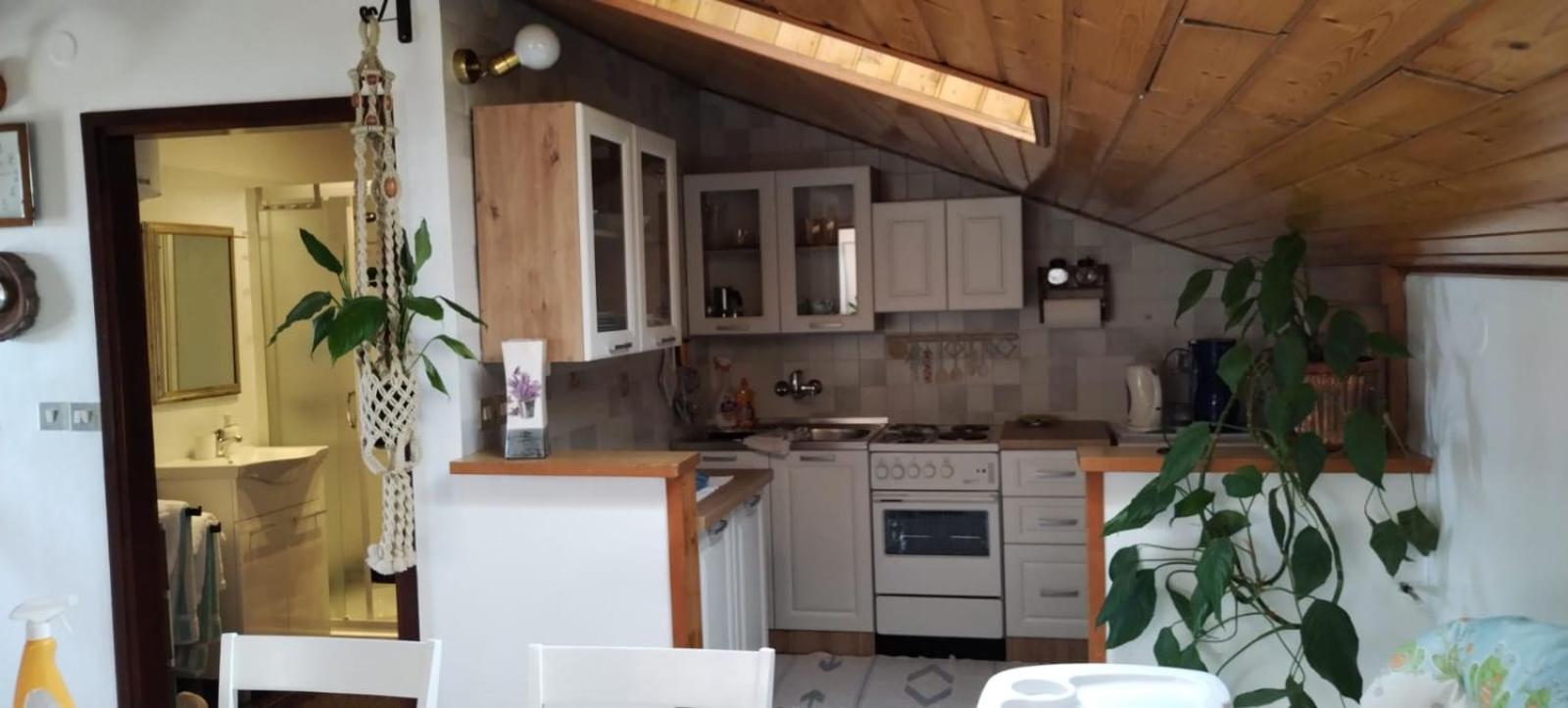 אומאג Apartment Gaudeamus מראה חיצוני תמונה