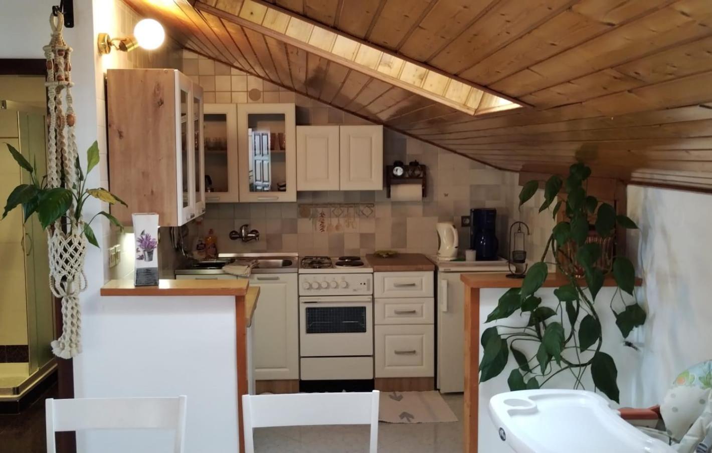 אומאג Apartment Gaudeamus מראה חיצוני תמונה